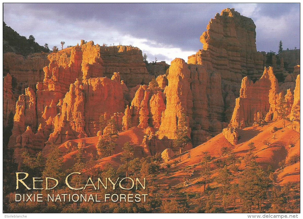 USA Utah, Red Canyon, Dixie National Forest / Eroding Sedimentary Rock / Falaises, Roches Colorées, Géologie / Impact - Autres & Non Classés