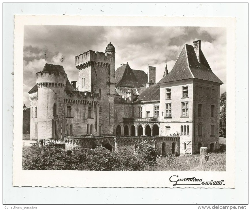 Photographie , PERIGORD , Mon Beau Pays... , Le Château De CAMPAGNE , 22,  Publicité : Gastroléna , 18 X 14 - Places