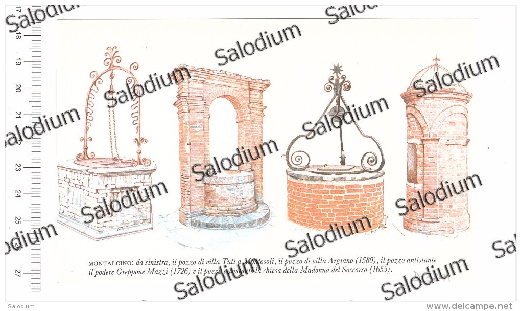 MONTALCINO POZZO WELL BIEN - Immagine Ritagliata Da Pubblicazione CROPPED IMAGE - Otros & Sin Clasificación