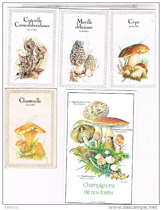 5 MIMI CALENDRIERS CHAMPIGNONS  1993 + 4 DE 1984 ...................... CAL25 - Petit Format : 1981-90