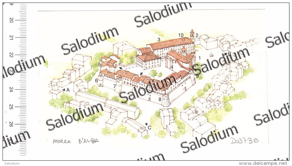 MORRO D'ALBA  - Immagine Ritagliata Da Pubblicazione CROPPED IMAGE - Otros & Sin Clasificación