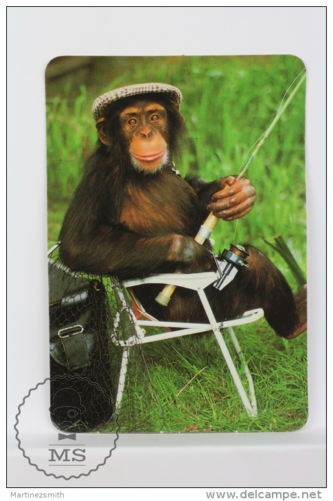 1993 Small/ Pocket Calendar - Monkey Fishing - Tamaño Pequeño : 1991-00