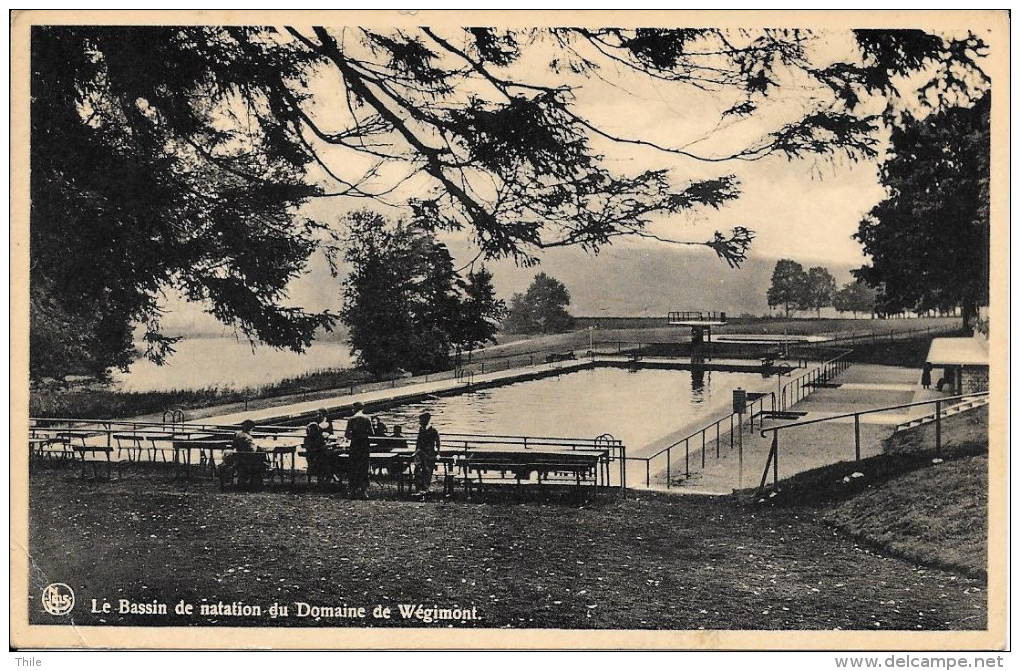 Le Bassin De Natation Du Domaine De WEGIMONT - Oblitéré Micheroux 1951 - Soumagne