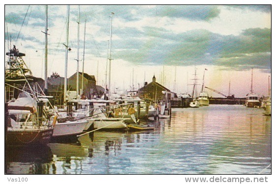 NANTUCKET- THE MARINA, BOATS - Nantucket