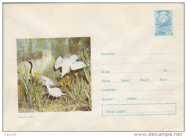 BIRDS, GREAT EGRET,  COVER STATIONERY, ENTIER POSTAL, 1971, ROMANIA - Pélicans