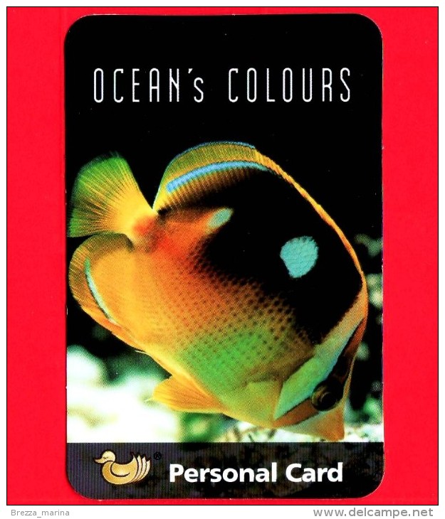 Italia - Nuovo - Cards - PaperDream - Ocean´s Colours - Pesci - Fish - Gift Cards