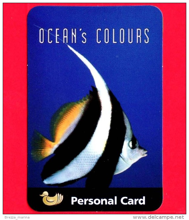 Italia - Nuovo - Cards - PaperDream - Ocean´s Colours - Pesci - Fish - Gift Cards