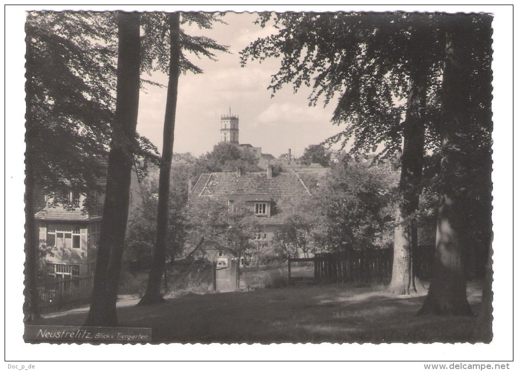 Deutschland - Neustrelitz - Blick Vom Tiergarten - Photohaus Schneider - Neustrelitz