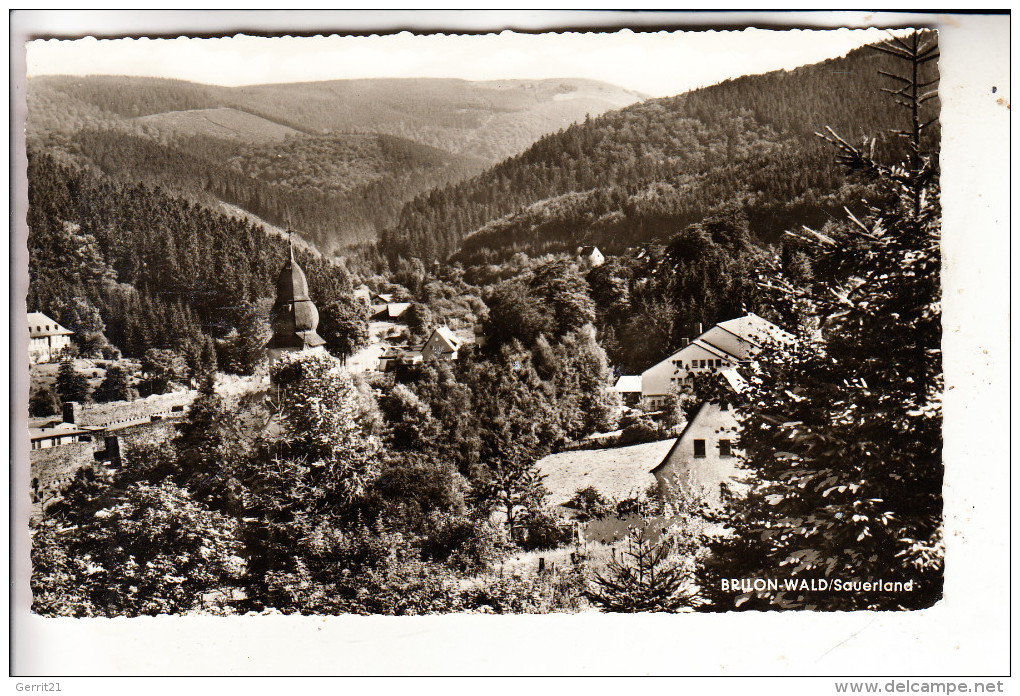 5790 BRILON - WALD, Panorama - Brilon