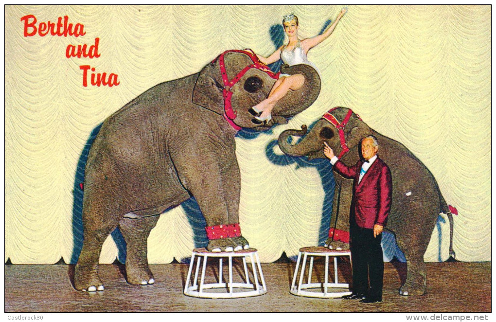 G)1962 USA, ELEPHANTS, BERTHA AND TINA, THE NUGGETS OWN TALENTED PACHYDERMS, POSTAL CARD, UNUSED, XF - Elephants