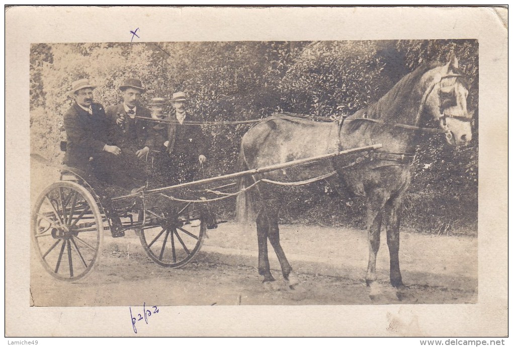 CARTE PHOTO  Attelage Avec Cheval  Avec Caléche Animation Cheval Transport Attaco Horse - Teams