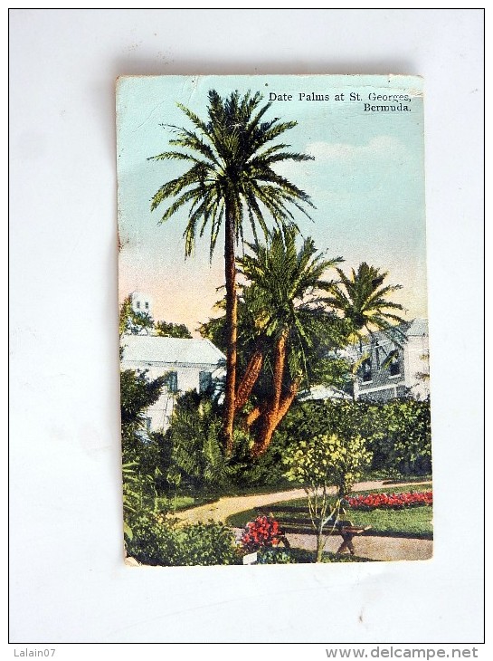 Carte Postale Ancienne : BERMUDA : Date Palms At St GEORGES, Stamp 1938 - Bermudes