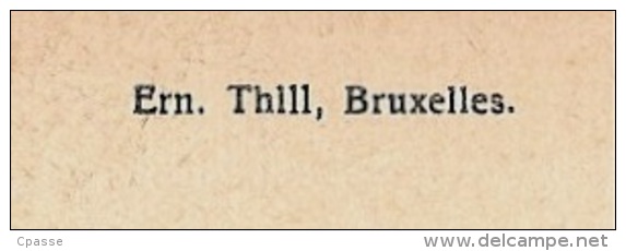 CPSM Belgique Belgie - Prieuré Des Moines De L'Union D'AMAY S/M - Cellule D'un Hieromoine ° Ern. Thill - Amay