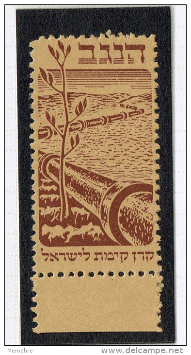 1948 Interim  Negev Irrigation  50 Mils  Brown On Brownish  Paper - Figure Of Value Omitted  * MH - Unused Stamps (without Tabs)