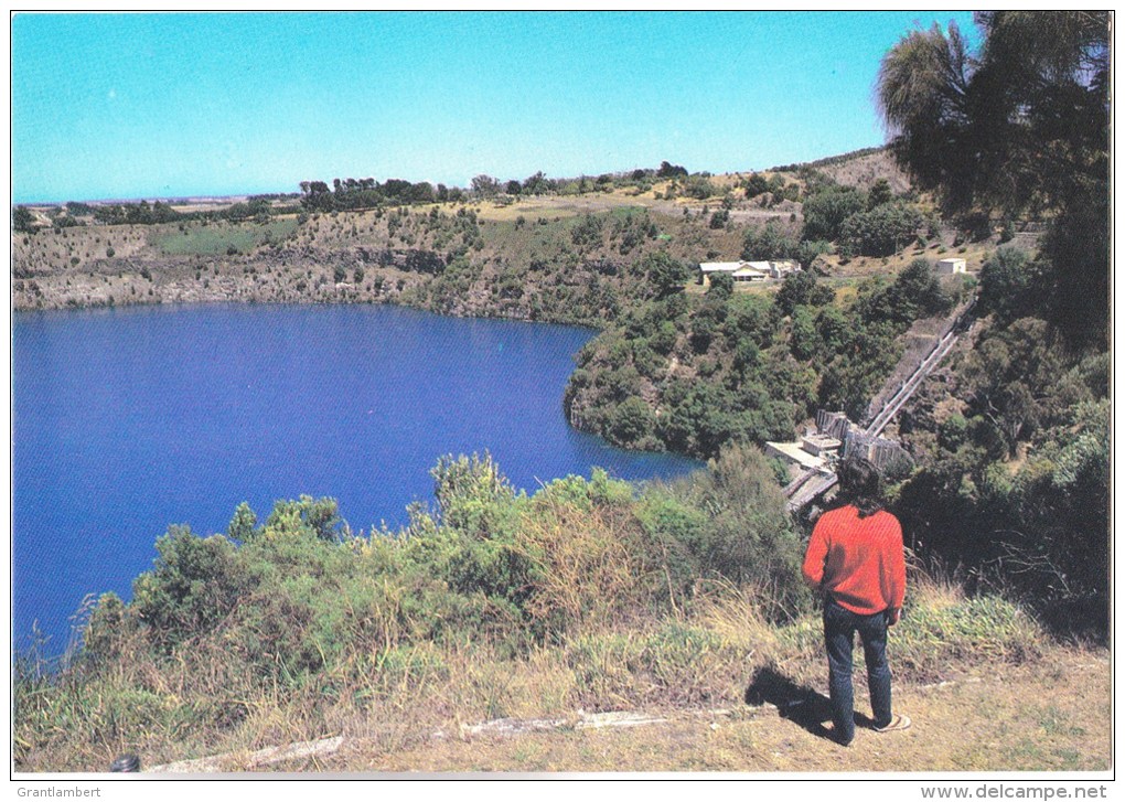 Blue Lake, Mount Gambier, South Australia From Apex Lookout - Rose 1353 Unused - Mt.Gambier