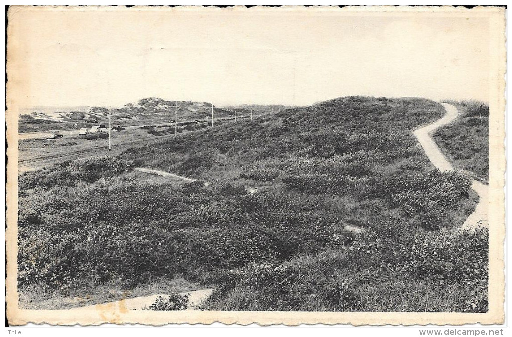 BREDENE - Le Sentier Dans Les Dunes - Wandelpad In De Duinen - 1957 - Bredene