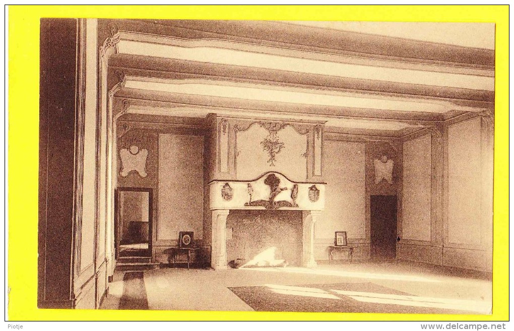 * Ecaussinnes Lalaing (Hainaut - La Wallonie - Charlerloi - Mons) * (Nels, Ern Thill) Chateau, Grande Salle, Kasteel - Ecaussinnes