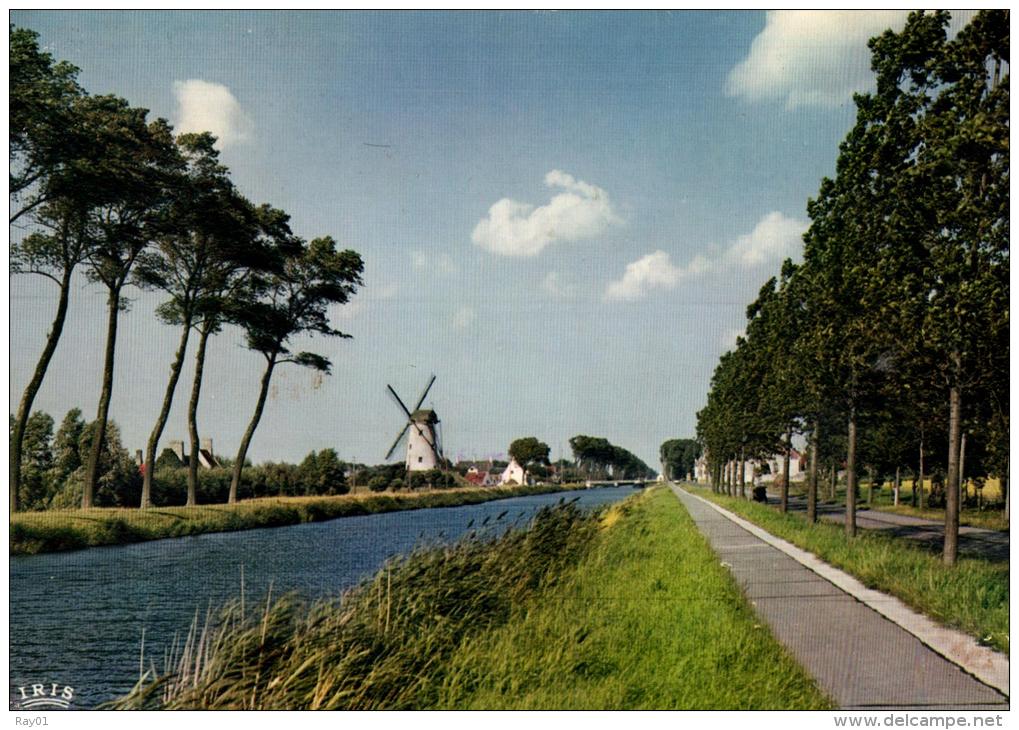 BELGIQUE - FLANDRE OCCIDENTALE - DAMME - De Molen En Kanaal Brugge-Sluis - Le Moulin Et Le Canal Bruges-Sluis. - Damme