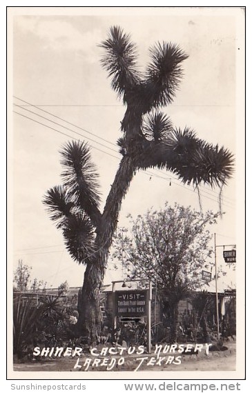 Shiner Cactus Nursery Laredo Texas Real Photo - Laredo