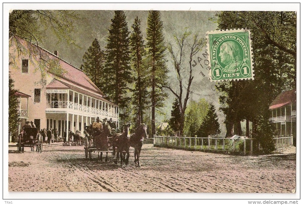 S3320 -524 - Sentinel Hotel - Yosemite Valley " Attelage" - Yosemite