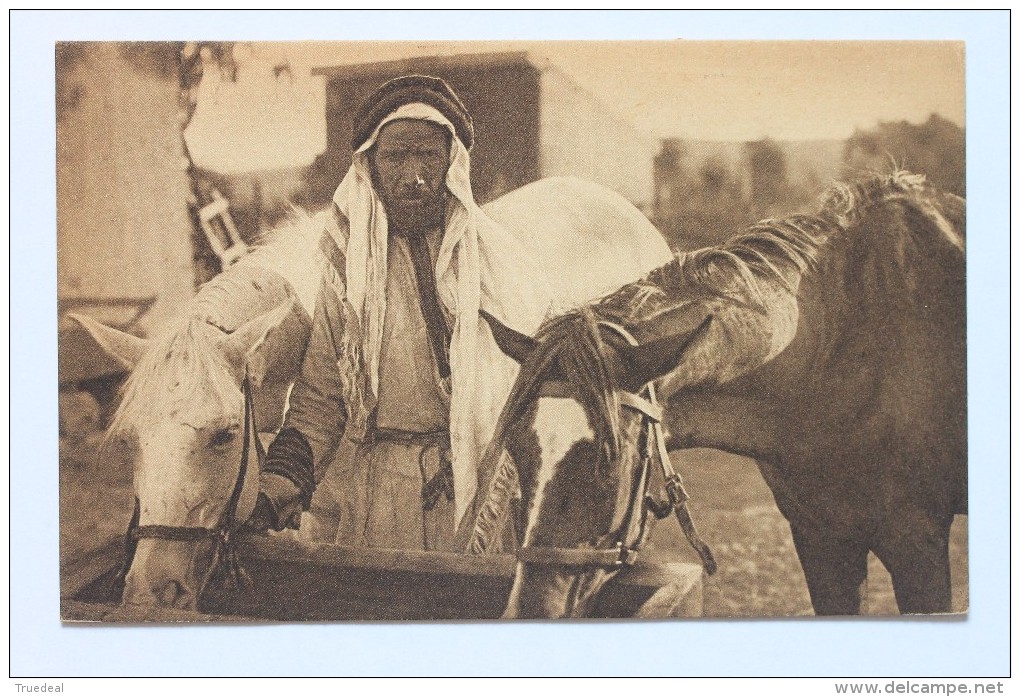 A Bedouin And His Pride, Horses, Jamal Bros. Publ.,  Photo Narinsky, 1921 - Palestine