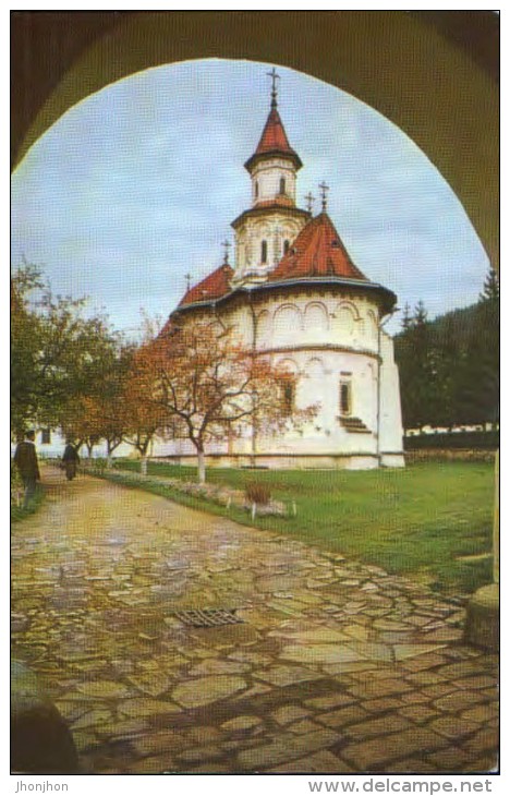 Romania - Postcard Circulated In 1965 With Stamp Berries Rubus Idaeus  - 2/scans - Briefe U. Dokumente