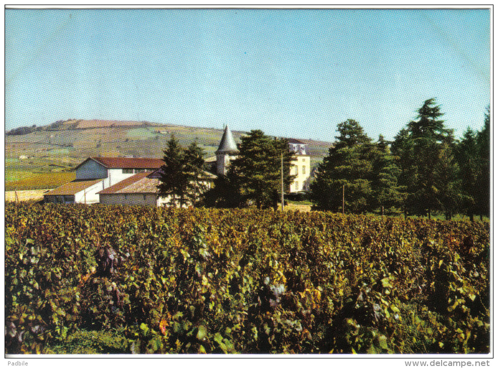 Carte Postale 69. Julienas En Beaujolais  La Coopérative Et Le Chateau  Trés Beau Plan - Julienas