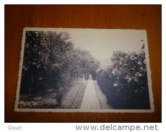 BP1-10-3 LC128 ROUX - Maison De Retraites Fermées Dames De Ste.Julienne Une Allée Du Jardin - Courcelles