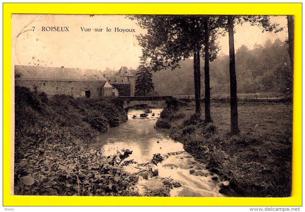 ROISEUX =  VUE SUR LE HOYOUX  MARCHIN = SUR ROISEU ? = Env BARSE-LEZ-HUY - MODAVE & LIEGE - Chateau Ferme A557 - Marchin