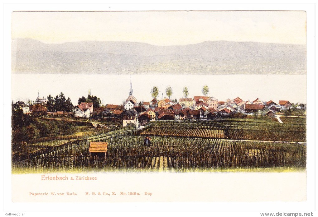 AK ZH Erlenbach Am Zürichsee Ges. 5.8.1911 Ambulant Foto H. G. & Co - Erlenbach