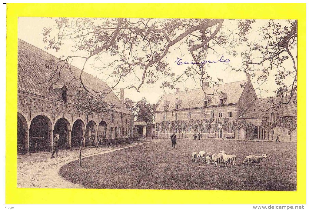 * Tongerlo (Westerlo - Antwerpen - Anvers) * (Nels) Abdij Van Tongerloo, Galerij Der XVIII Eeuw, Mouton, Schaap, Rare - Westerlo