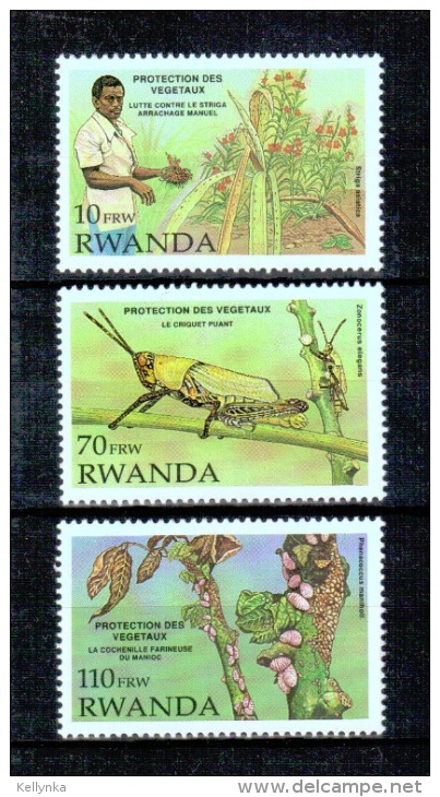 Rwanda - 1399/1402 (Sans 1400) - Végétaux - 1993 - MNH - Neufs