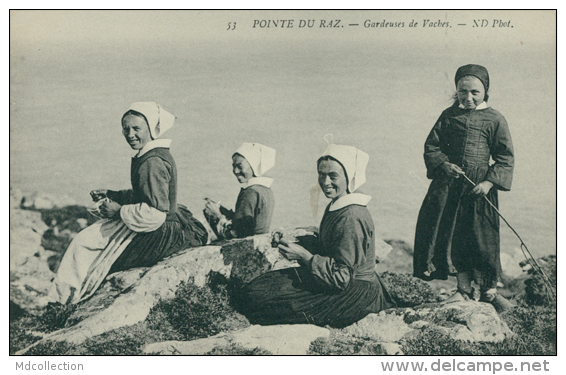 29 PLOGOFF / Gardeuses De Vaches, Pointe Du Raz / - Plogoff