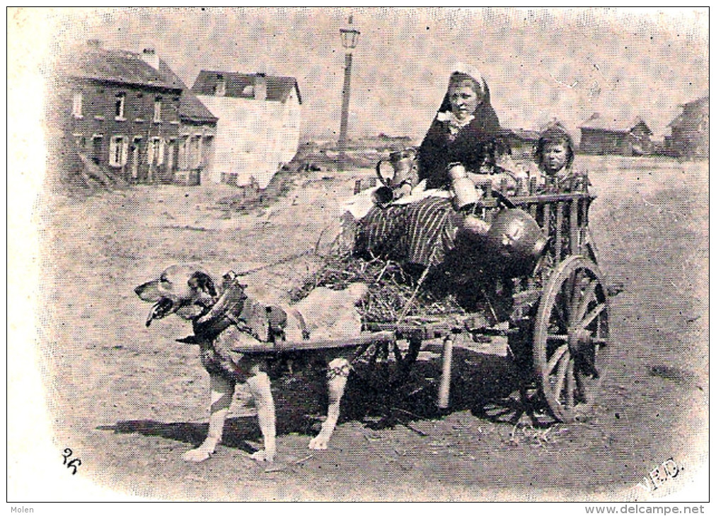 MONS 1906 ATTELAGE DE CHIEN LAITIERE FLAMANDE * HONDENKAR VLAAMS MELKMEISJE Dog Drawn Cart Voiture à Chiens LAIT 3193 - Ambulanti