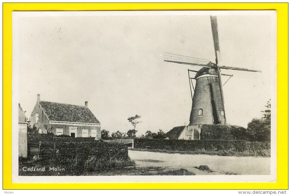 FOTOKAART : OUDE WINDMOLEN Te CADZAND - CARTE PHOTO I* Moulin à Vent Molen Mill Muhle Molino     O15 - Cadzand