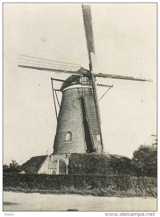 FOTOKAART : OUDE WINDMOLEN Te CADZAND - CARTE PHOTO I* Moulin à Vent Molen Mill Muhle Molino     O15 - Cadzand