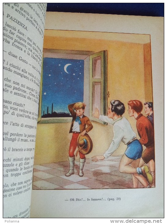 M#0I31 C.Collodi MINUZZOLO Ed.Lucchi Anni '50/Illustratore Peter - Antiguos