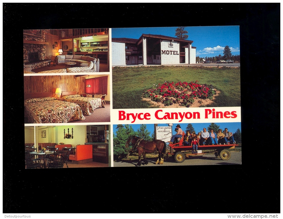 BRYCE CANYON PINES Motel And Restaurant Star Route 1 PANGUITCH Utah  84579 - Bryce Canyon