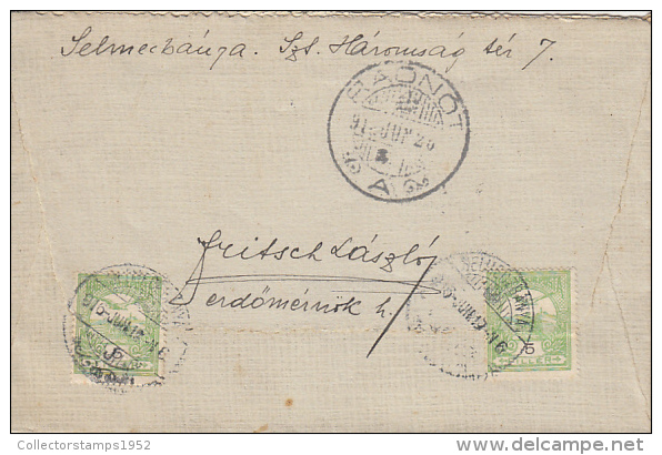 26896- BIRD, TOWN, STAMP ON COVER, 1916, HUNGARY - Briefe U. Dokumente