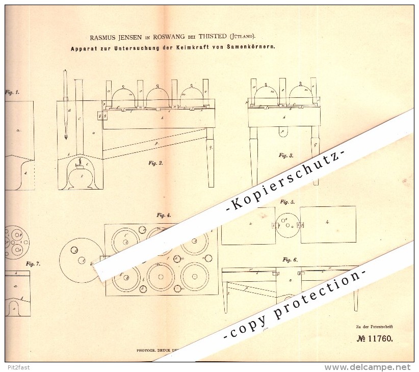 Original Patent - R. Jensen In Roswang Bei Thisted , 1880 , Apparat Für Keimkraft Von Samen , Saatzucht , Saat , Denmark - Dänemark