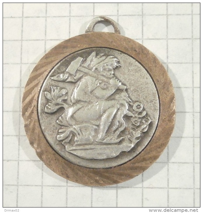 MEDAL PLAQUE 1970 - DWARF Mining And Thermal Power Plants KOSTOLAC (Serbia)/ Miner Mineur MEDAILLE - Camions