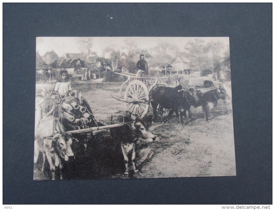 Northern Thailand Scenes From The Past (troupeaux De Boeuf  Et Charette ) - Tailandia