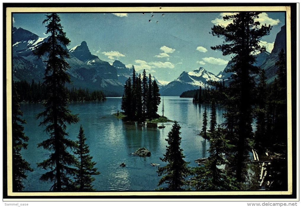 Maligne Lake  -  Jasper National Park  -  Ansichtskarte  Ca. 1985    (5014) - Jasper