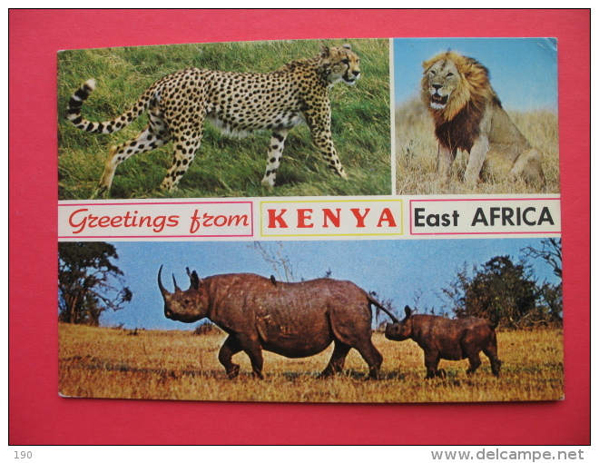 Wildlife KENYA - Rhinoceros