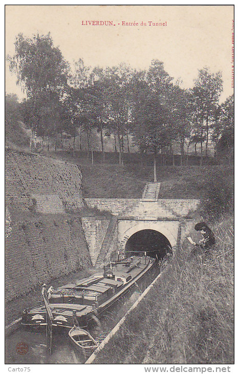 Péniches - Péniche Hanoï à L'entrée Du Tunnel De Liverdun - Péniches