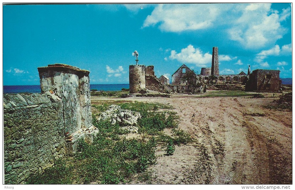 Ruins Of Judith`s Fancy. St. Croix, Virgin Islands.   S-2215 - Jungferninseln, Amerik.