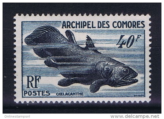 COMORES   Yv Nr 13 MH/* Avec Charniere - Unused Stamps