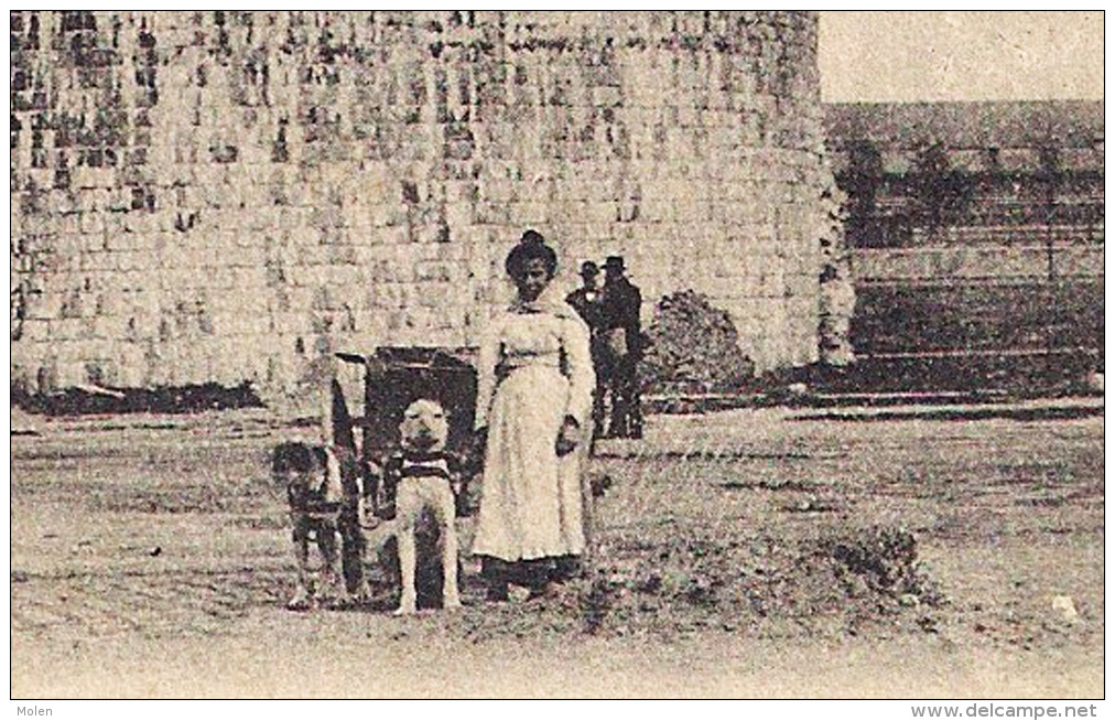 ATTELAGE DE CHIEN & LA GROSSE TOUR TOURNAI * LAITIERE * HONDENKAR MELKMEISJE Dog Drawn Cart Voiture à Chiens LAIT 2473 - Street Merchants