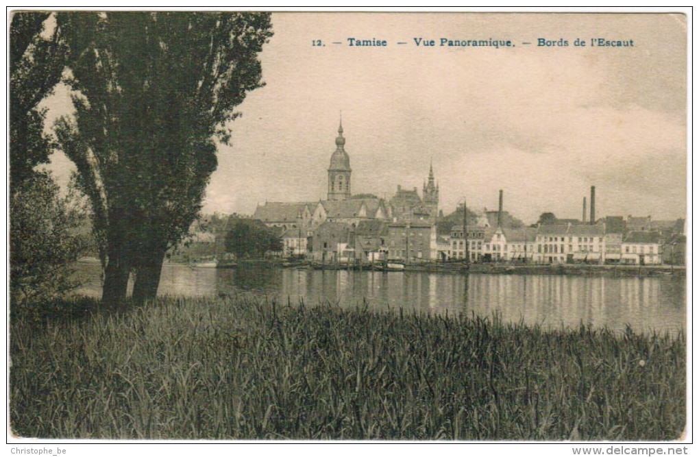 Temse, Temsche, Tamise Vue Panoramique, Bords De L'Escaut (pk21451) - Temse