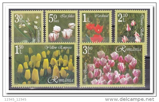 Roemenië 2006, Postfris MNH, Flowers - Ongebruikt
